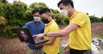 Bringing the 2022 lychee crop to e-commerce platforms