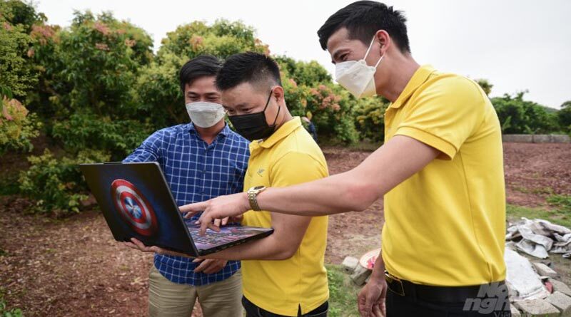 Bringing the 2022 lychee crop to e-commerce platforms