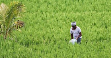 Agricultural and Processed Food Products Export Development Authority (APEDA) inks MoU with National Research Development Corporation (NRDC)