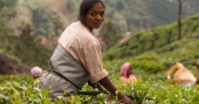 Latest estimate of Agriculture household income in India