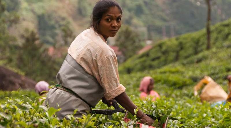Latest estimate of Agriculture household income in India