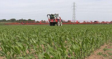 Official: China's agricultural sector remains stable despite challenges