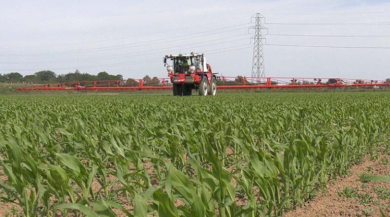 Official: China's agricultural sector remains stable despite challenges