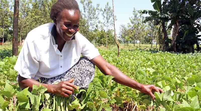 Just launched: CGIAR Initiative on Nature-Positive Solutions