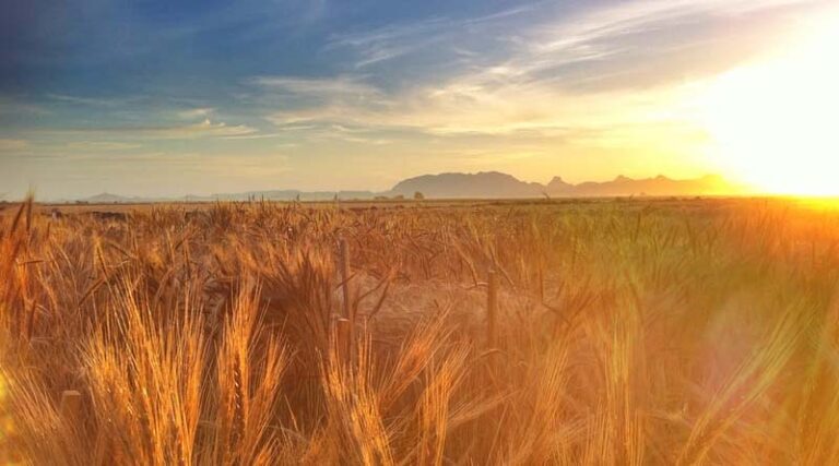 The main objective of the government is to ensure that water reaches every field