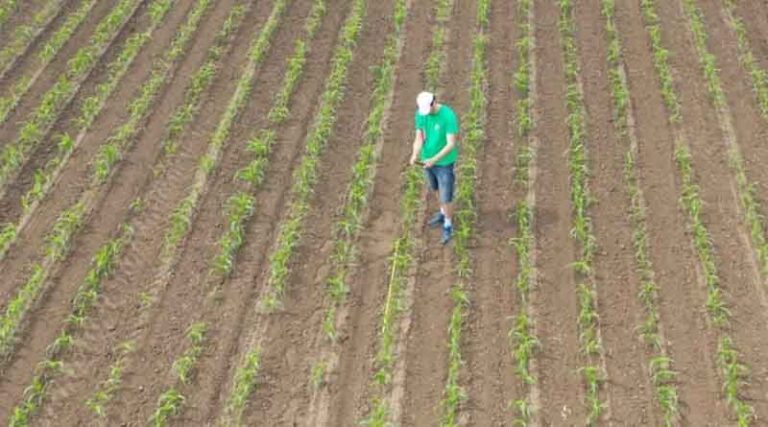 More Than a Pretty Picture: ADAMA is Using Drone Imagery Analysis to Bring More Value to Farmers