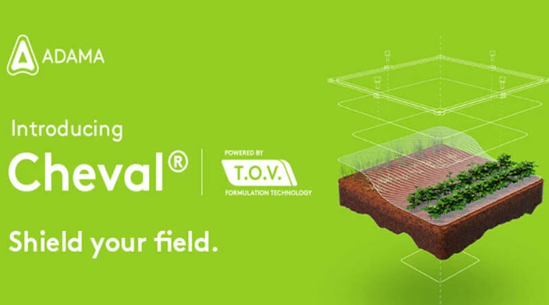 ADAMA Launches Cheval® in Brazil