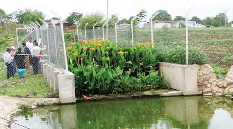 Aerobic composting enhances the value of water hyacinth biomass