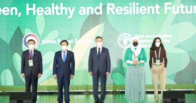 As World Forestry Congress opens, FAO advocates for vital role of trees and forests