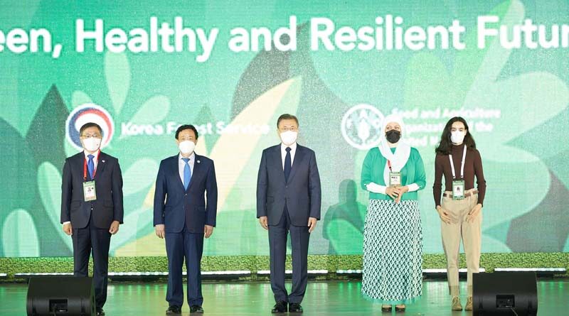 As World Forestry Congress opens, FAO advocates for vital role of trees and forests