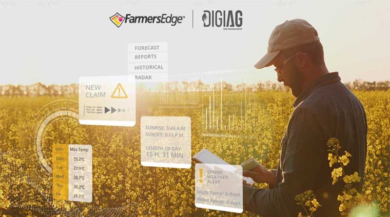 Enhanced Insurance Protection Available This Spring to Canola Farmers