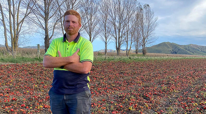 Gisborne growers hit by trio of massive rain events