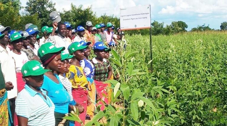 Sustainable crop intensification through high-yielding resilient varieties and appropriate cropping system