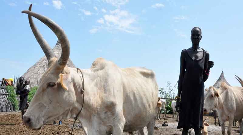The Sudan: FAO scales up response to soaring acute food insecurity exacerbated by potential impacts of the war in Ukraine
