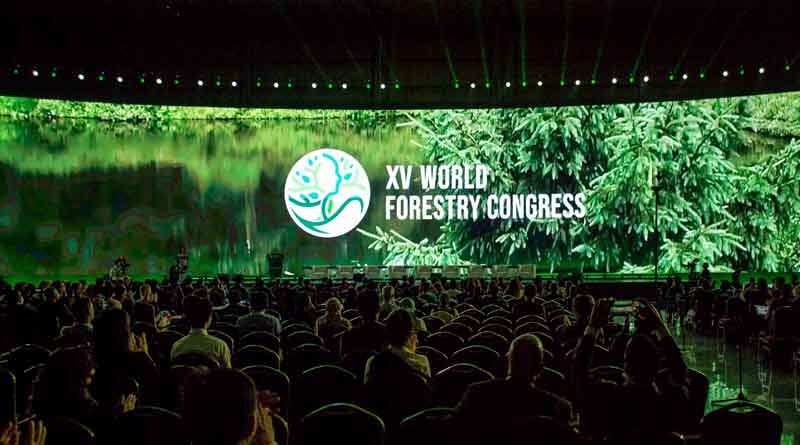 Newly adopted Seoul Forest Declaration identifies priority action areas