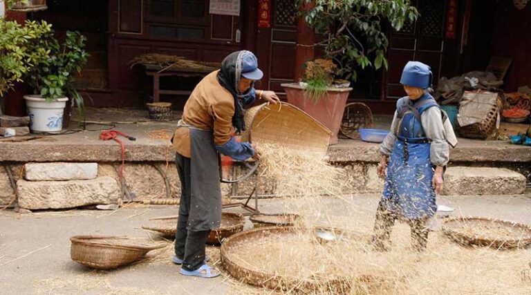 China using remote sensing to forecast agricultural production and assure food safety