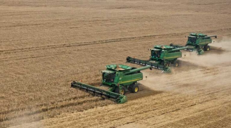 Efforts aim for healthy grain harvest