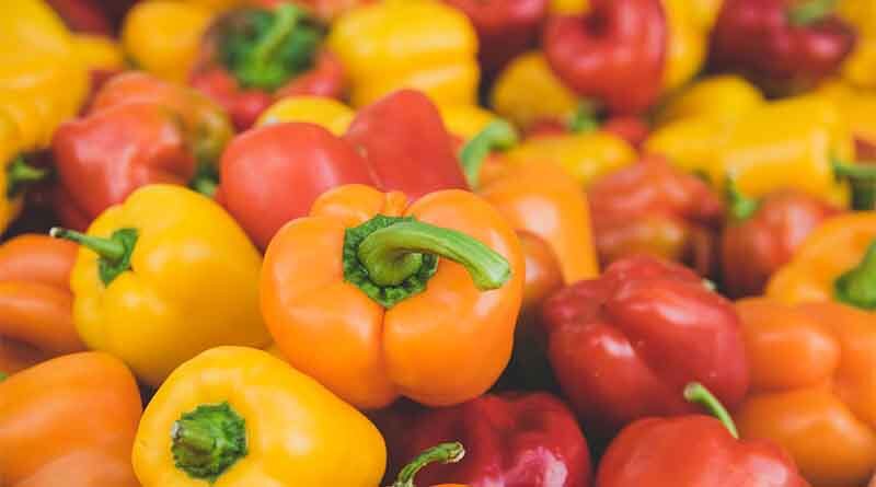 BioBee’s friendly predators help Israel farmers grow sweet pepper crops