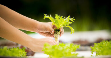 4 best agritech startups which are helping farmers to grow their business