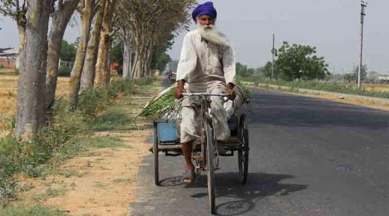 Punjab mandis shut due to decline in wheat arrival