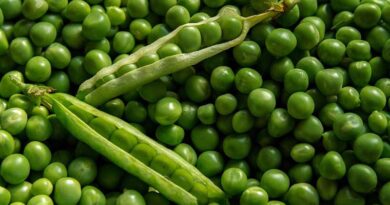 5 major challenges of Organic farmers in India