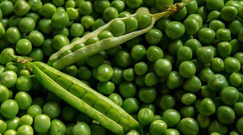 5 major challenges of Organic farmers in India