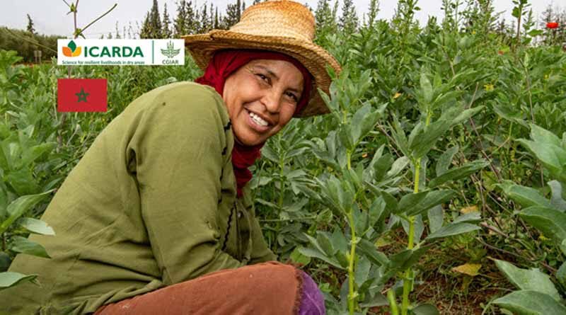 ICARDA launches Morocco Genebank