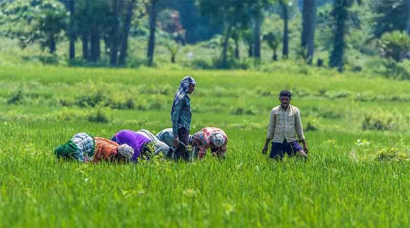 Organic farming is beneficial for small and marginal farmers says Vice President Venkaiah Naidu