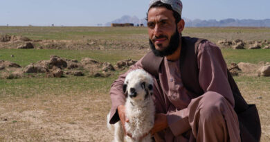 Half of Afghanistan’s population is facing acute hunger