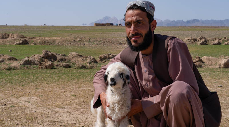 Half of Afghanistan’s population is facing acute hunger
