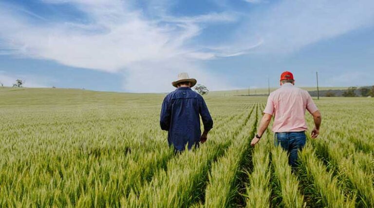 3 sites in China recognized as agricultural heritage