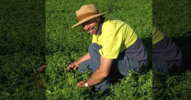 Hard seeded legumes a suitable fit for NSW mixed farmers