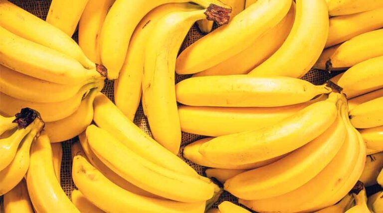 ICAR-NRC for Banana to Boost Wine Industry of Maharashtra