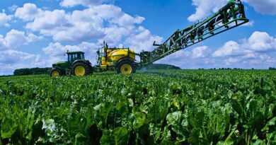 Sugar beet benefits from Quantis heat stress relief
