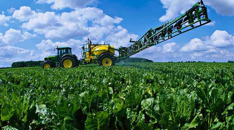 Sugar beet benefits from Quantis heat stress relief