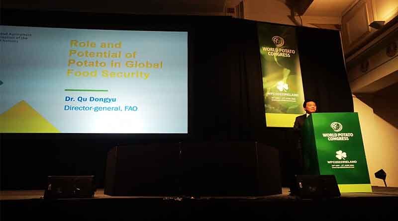 Doubling global potato production in 10 years is possible