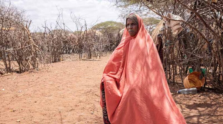 Drought in the Horn of Africa: FAO appeals for $172 million to help avert famine and humanitarian catastrophe