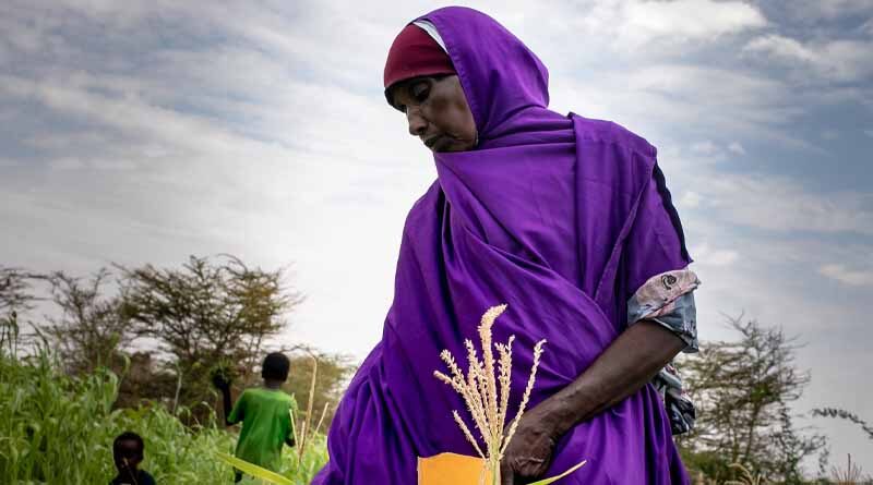 As rains fail again, catastrophic hunger looms over Somalia