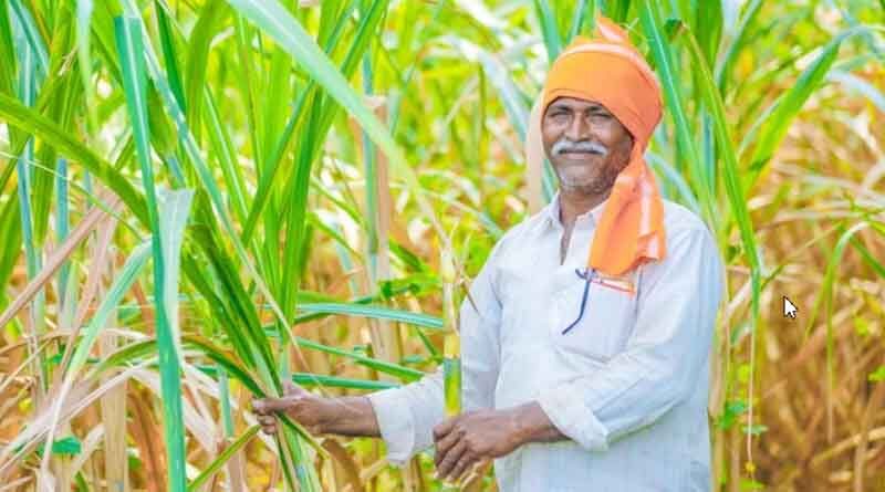 ADAMA & Groundwork BioAg Cooperate in Offering Mycorrhizal Products for Indian Farmers