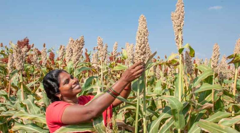 Agriculture and the Environment