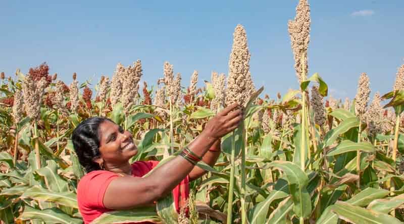 Agriculture and the Environment