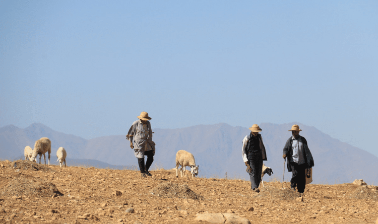 How Water-Smart Agricultural Solutions can Help us Stall Desertification and Thrive in the Face of Future Droughts