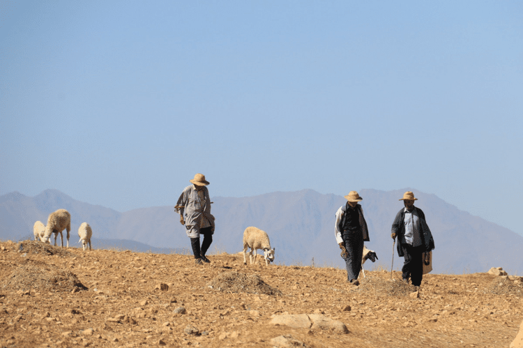 How Water-Smart Agricultural Solutions can Help us Stall Desertification and Thrive in the Face of Future Droughts