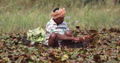 Indian Small Farm Holders: Are the Heydays Nearby