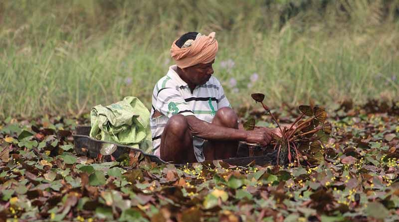 Indian Small Farm Holders: Are the Heydays Nearby