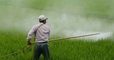 Sustainable Management of Empty Pesticide Containers (EPC)