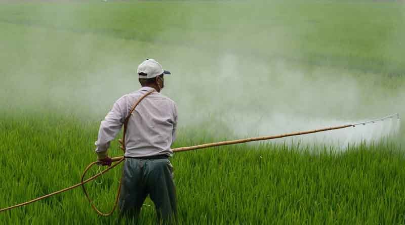 Sustainable Management of Empty Pesticide Containers (EPC)