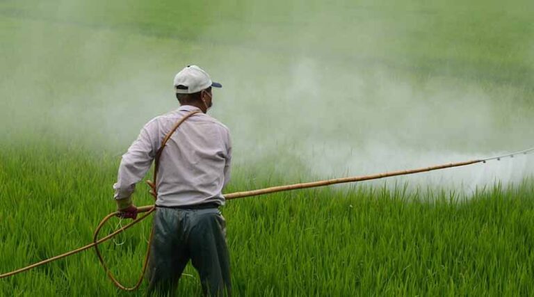 Request to the Indian government to reduce the GST on pesticides to 5 percent