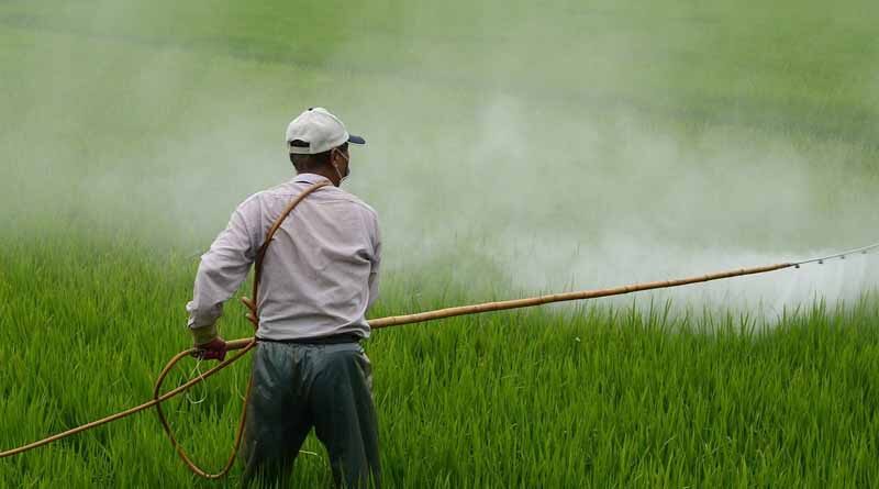 Request to the Indian government to reduce the GST on pesticides to 5 percent