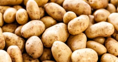 Chinese scientists make notable discovery on potato genome sequences